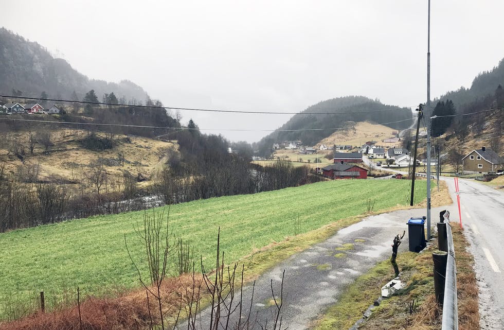 Det var heller dårleg med skiføret i lågareliggande strok i januar 2020. På Espeland var bøane grønne...