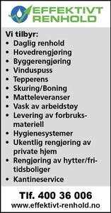 Effektivt Renhold